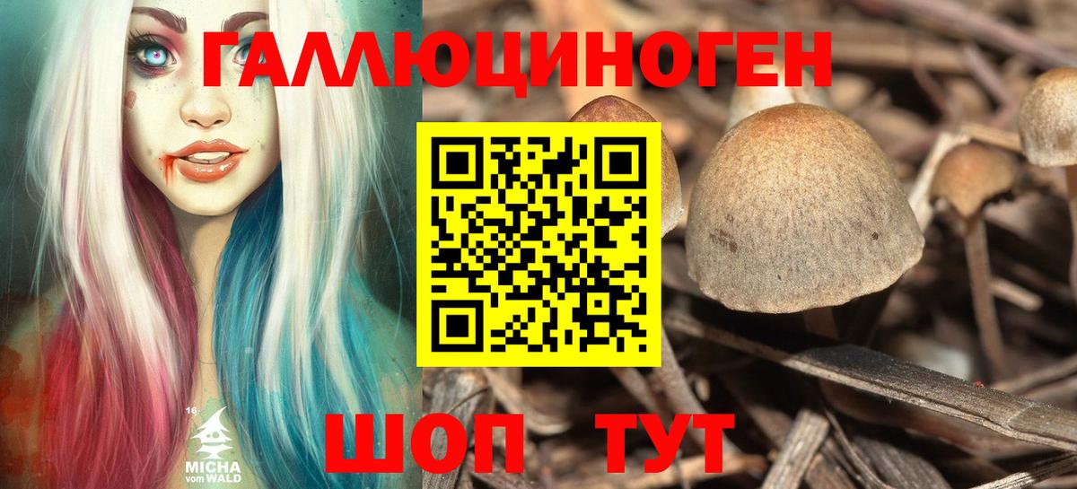 Псилоцибиновые грибы Magic Shrooms  Вход с VPN  даркнет сайт  Оренбург 