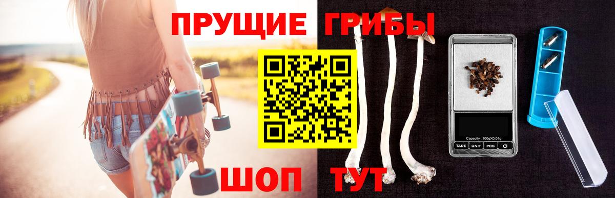 Псилоцибиновые грибы Psilocybine cubensis Оренбург